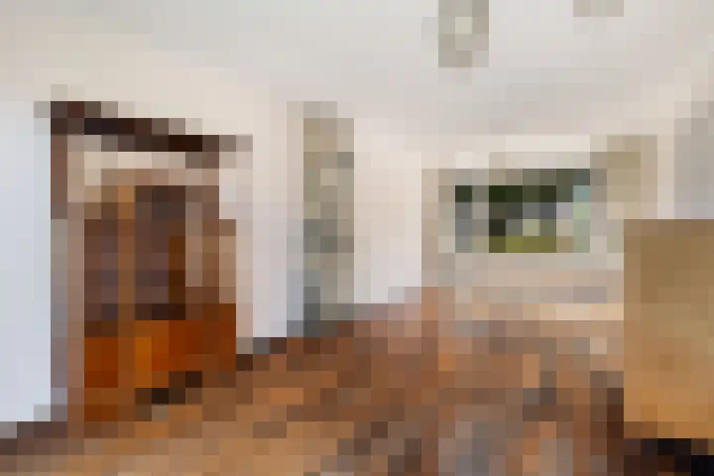 De Vaert 12 Berkel en Rodenrijs thumbnail 8