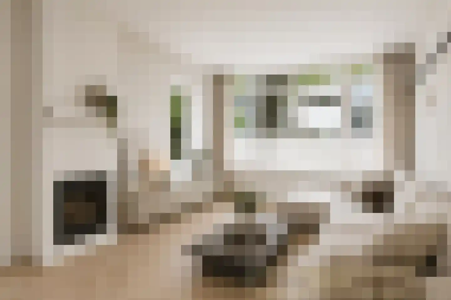De Vaert 4 Berkel en Rodenrijs thumbnail 12