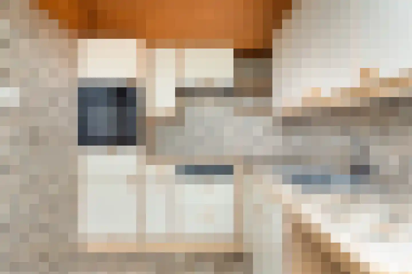 De Vaert 4 Berkel en Rodenrijs thumbnail 16
