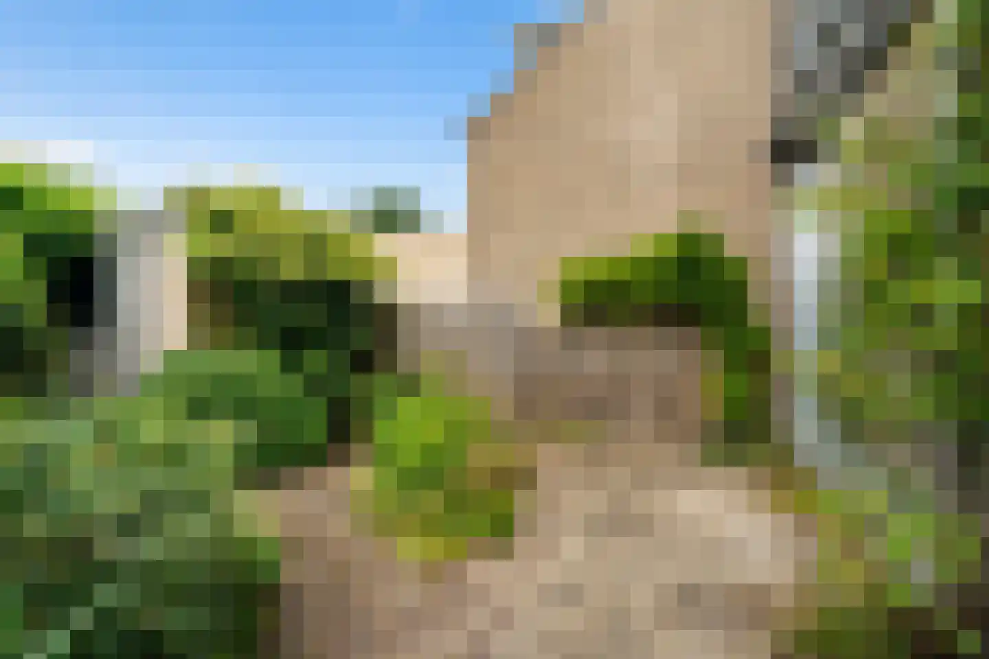 De Vaert 4 Berkel en Rodenrijs thumbnail 20