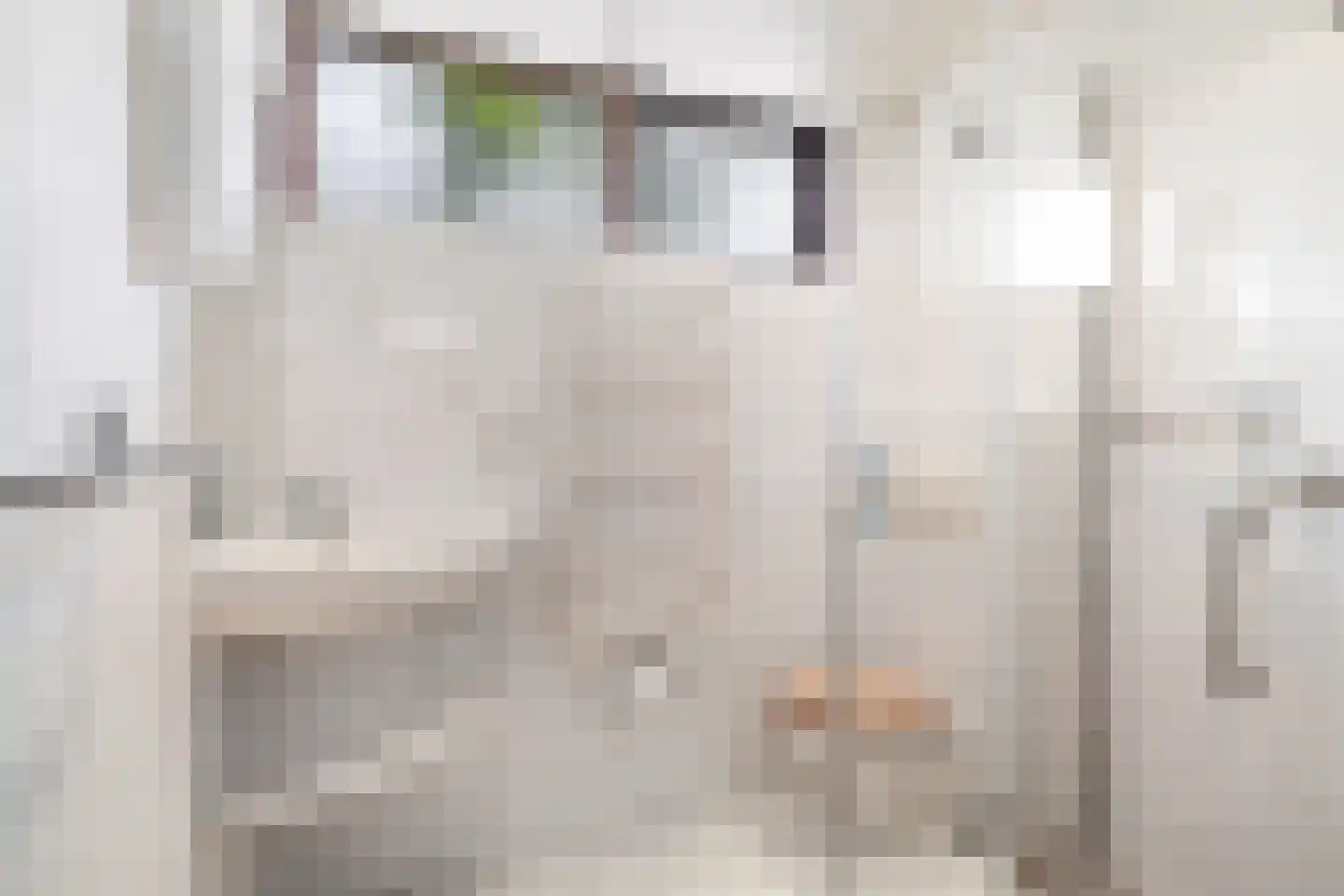 De Vaert 4 Berkel en Rodenrijs thumbnail 33