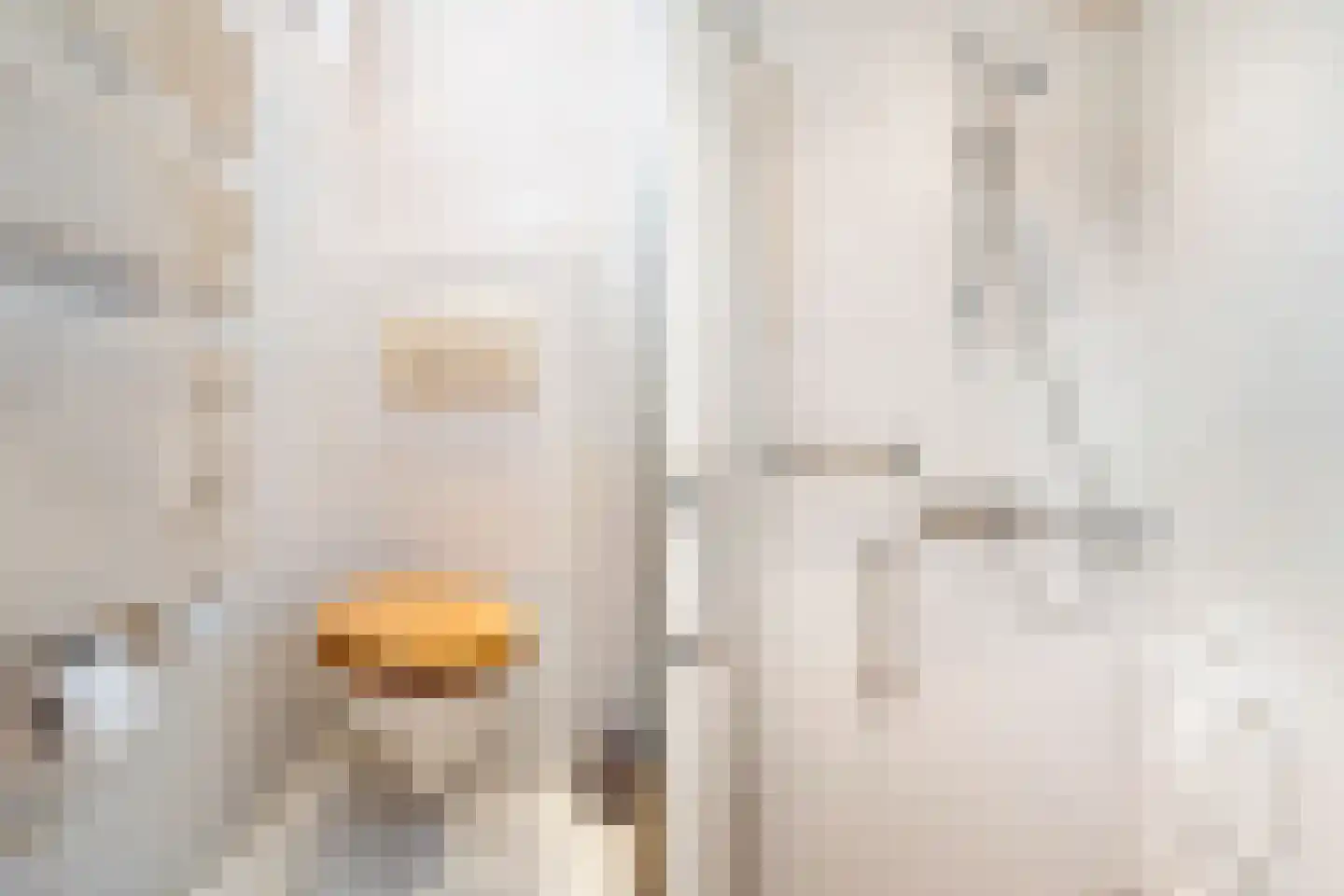De Vaert 4 Berkel en Rodenrijs thumbnail 34