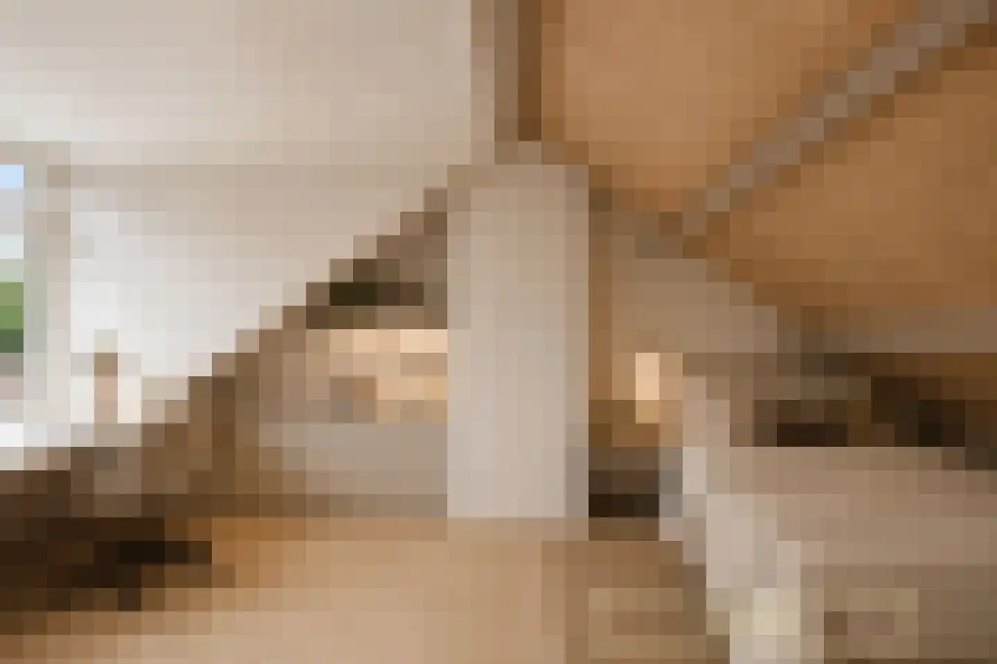 De Vaert 4 Berkel en Rodenrijs thumbnail 37