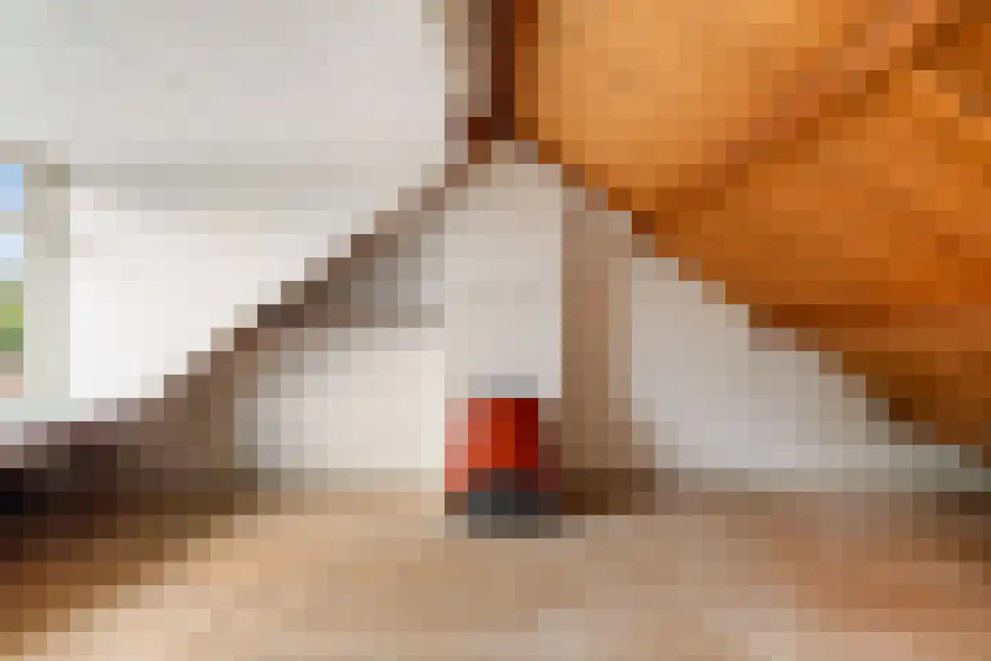 De Vaert 4 Berkel en Rodenrijs thumbnail 38