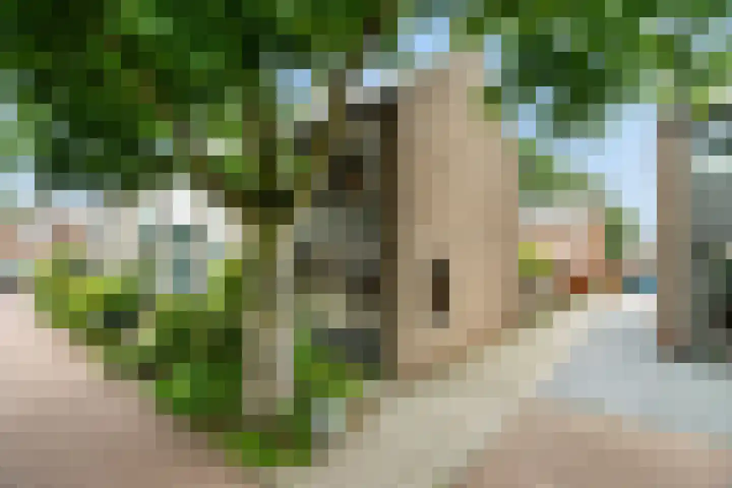 De Vaert 4 Berkel en Rodenrijs thumbnail 41
