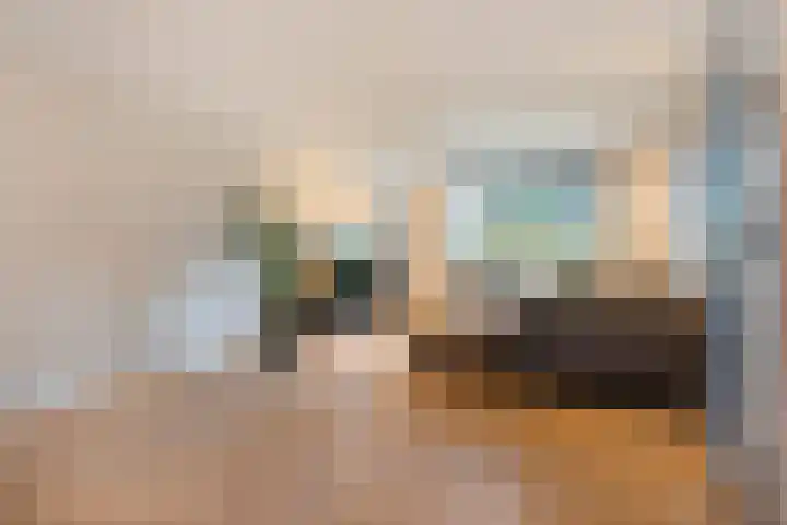De Valeriaan 53 Dedemsvaart thumbnail 10
