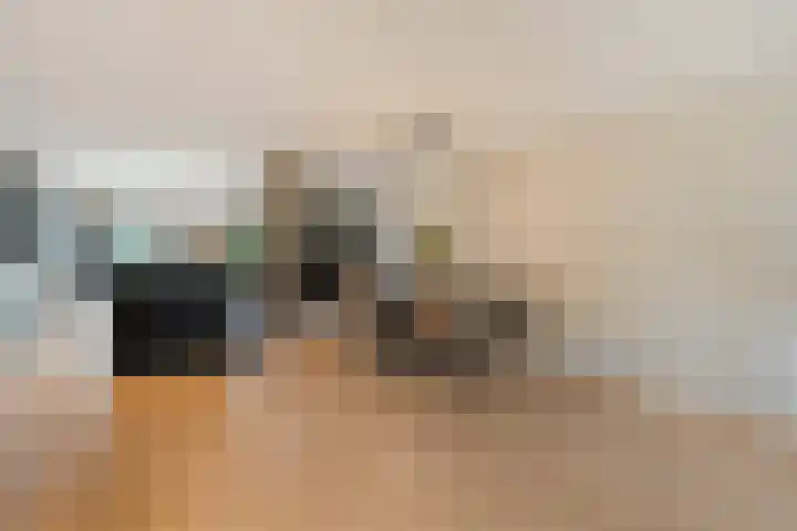 De Valeriaan 53 Dedemsvaart thumbnail 11