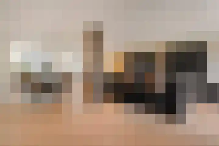 De Valeriaan 53 Dedemsvaart thumbnail 12