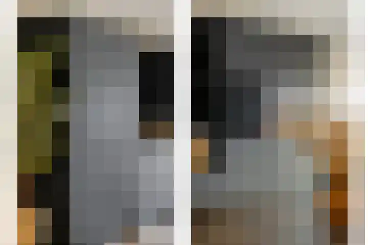 De Valeriaan 53 Dedemsvaart thumbnail 14