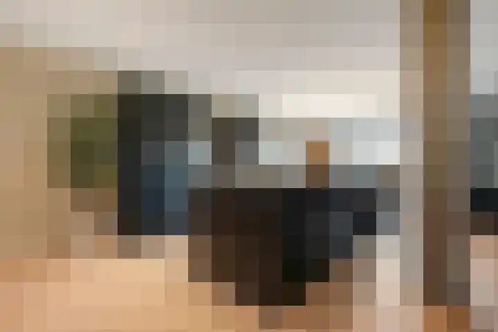 De Valeriaan 53 Dedemsvaart thumbnail 15