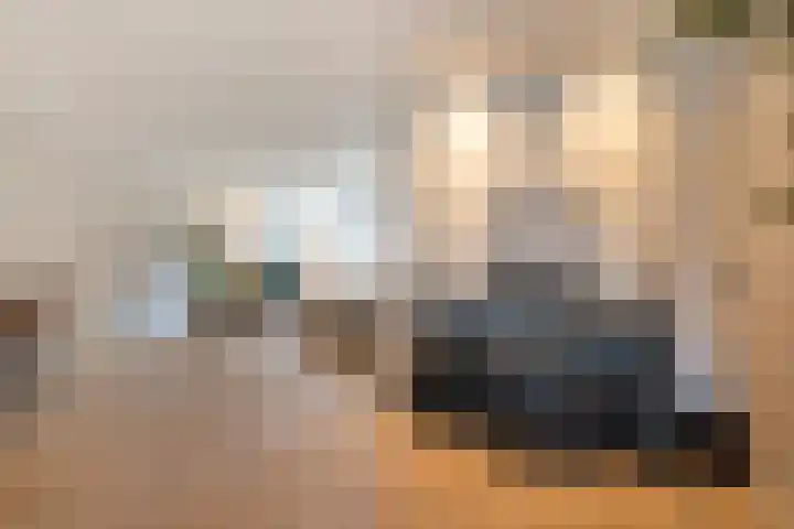 De Valeriaan 53 Dedemsvaart thumbnail 18