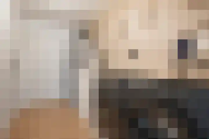 De Valeriaan 53 Dedemsvaart thumbnail 20
