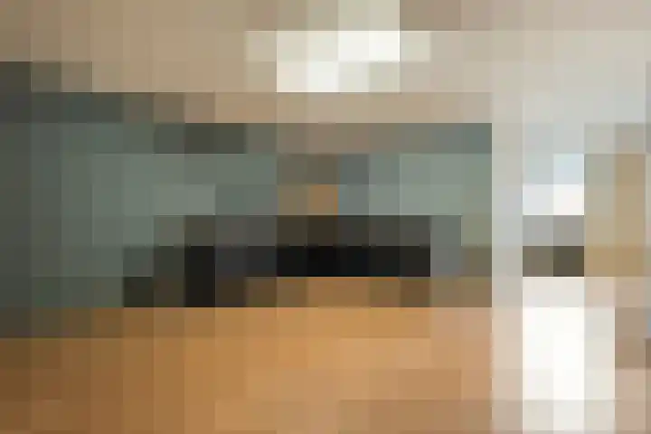 De Valeriaan 53 Dedemsvaart thumbnail 21