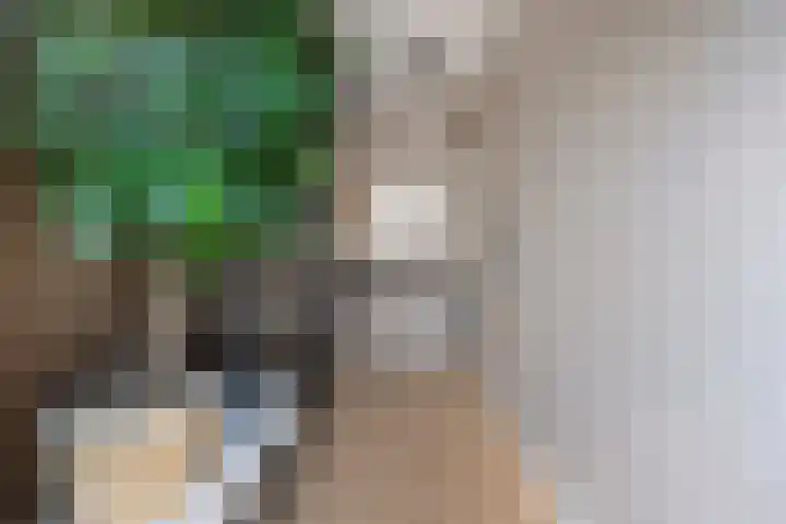 De Valeriaan 53 Dedemsvaart thumbnail 23