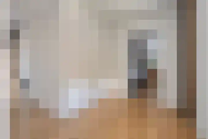 De Valeriaan 53 Dedemsvaart thumbnail 24
