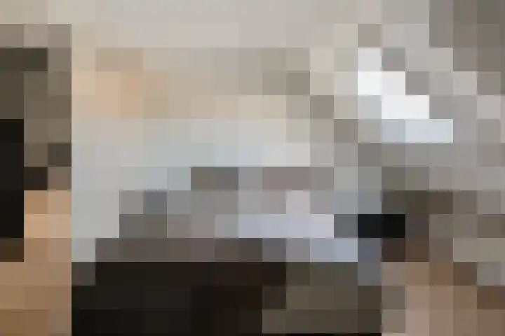 De Valeriaan 53 Dedemsvaart thumbnail 30