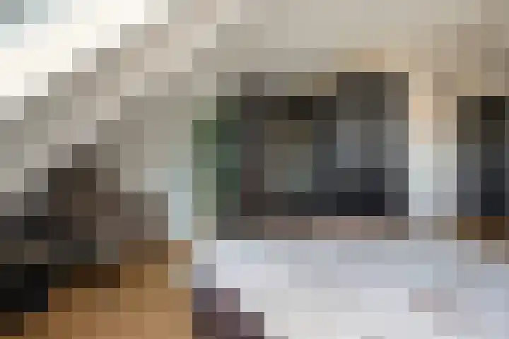 De Valeriaan 53 Dedemsvaart thumbnail 31