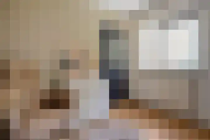 De Valeriaan 53 Dedemsvaart thumbnail 33