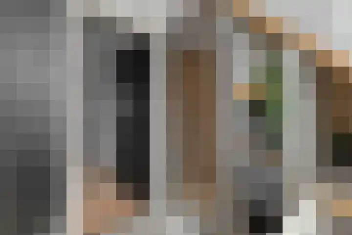 De Valeriaan 53 Dedemsvaart thumbnail 34