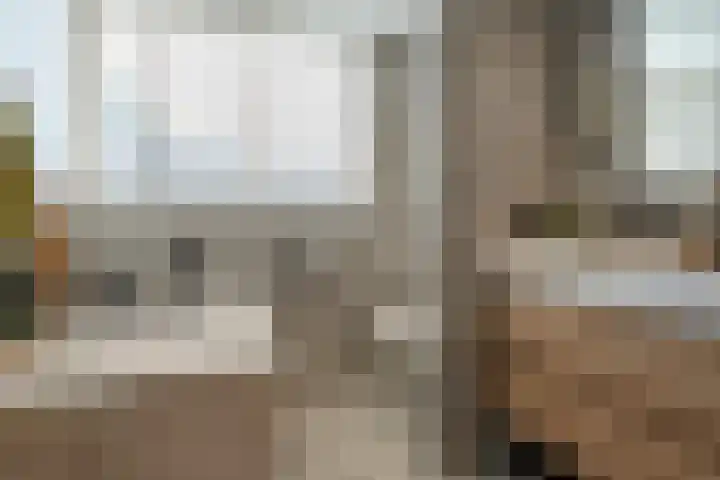 De Valeriaan 53 Dedemsvaart thumbnail 35