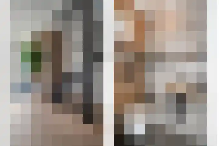 De Valeriaan 53 Dedemsvaart thumbnail 4