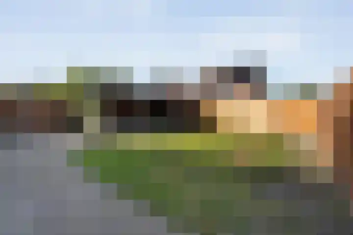 De Valeriaan 53 Dedemsvaart thumbnail 41