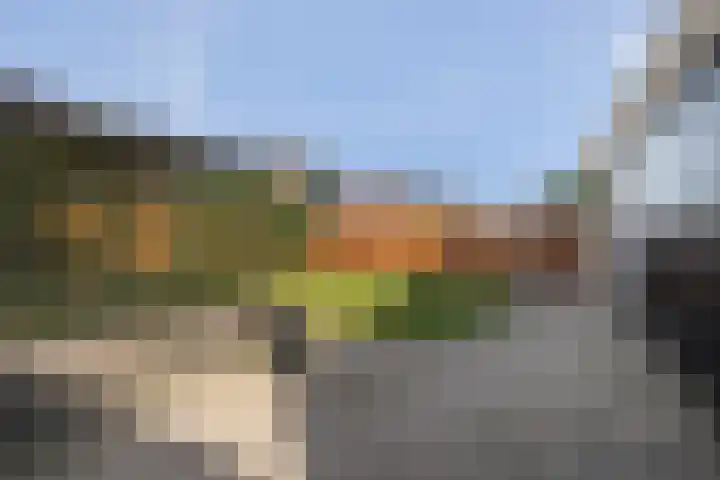De Valeriaan 53 Dedemsvaart thumbnail 42