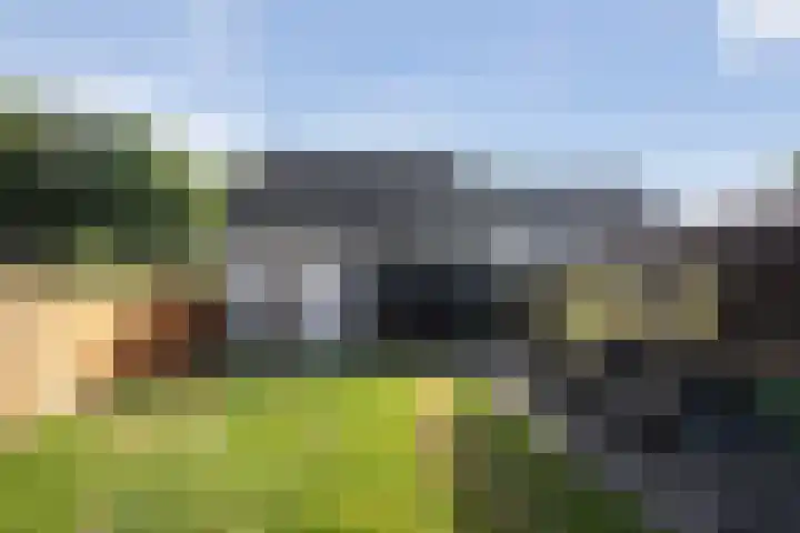 De Valeriaan 53 Dedemsvaart thumbnail 43