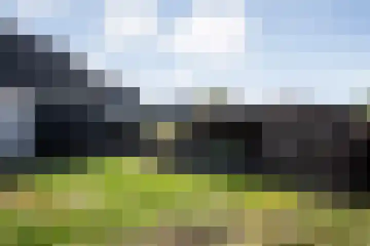 De Valeriaan 53 Dedemsvaart thumbnail 44
