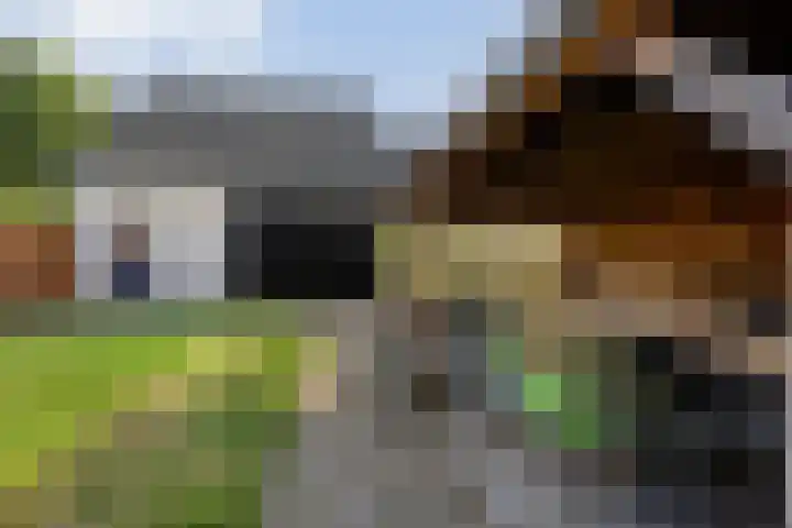 De Valeriaan 53 Dedemsvaart thumbnail 45