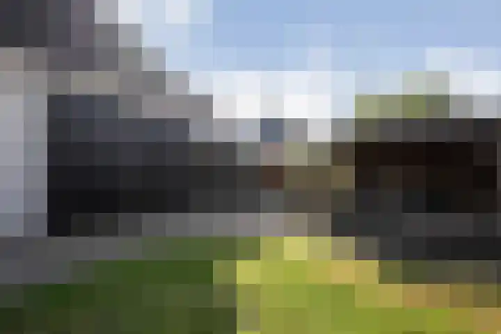 De Valeriaan 53 Dedemsvaart thumbnail 46