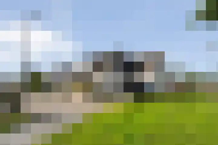 De Valeriaan 53 Dedemsvaart thumbnail 48