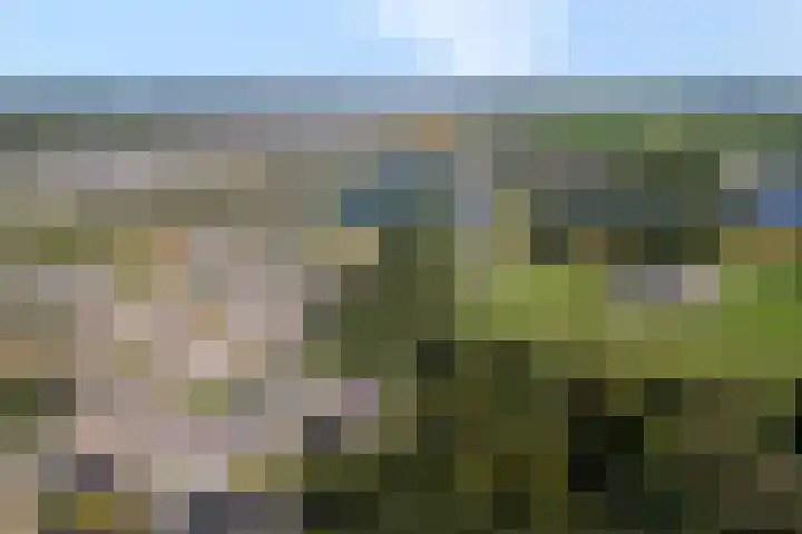 De Valeriaan 53 Dedemsvaart thumbnail 53