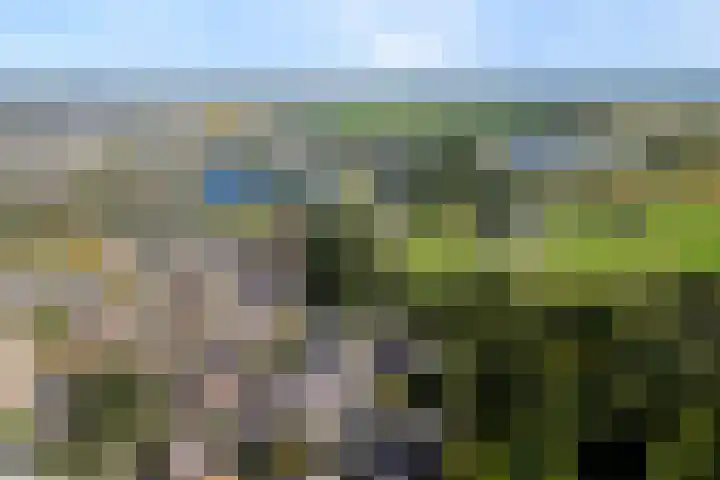 De Valeriaan 53 Dedemsvaart thumbnail 54