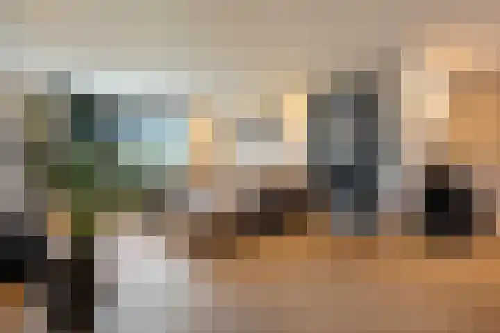 De Valeriaan 53 Dedemsvaart thumbnail 6