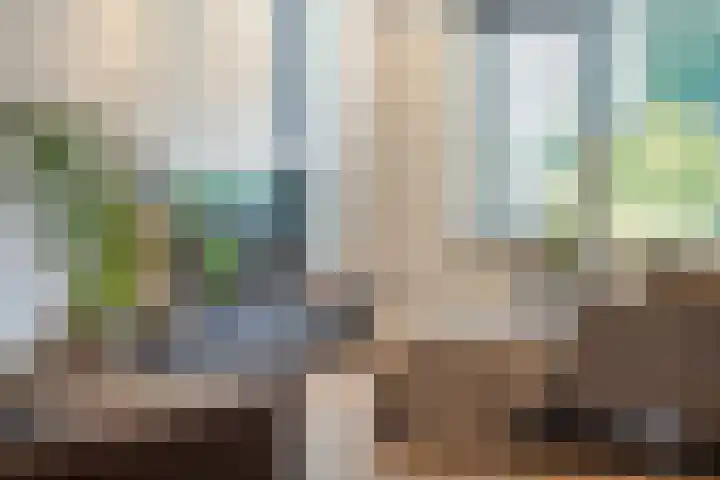 De Valeriaan 53 Dedemsvaart thumbnail 7