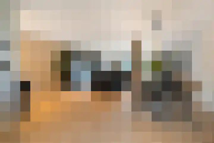 De Valeriaan 53 Dedemsvaart thumbnail 8