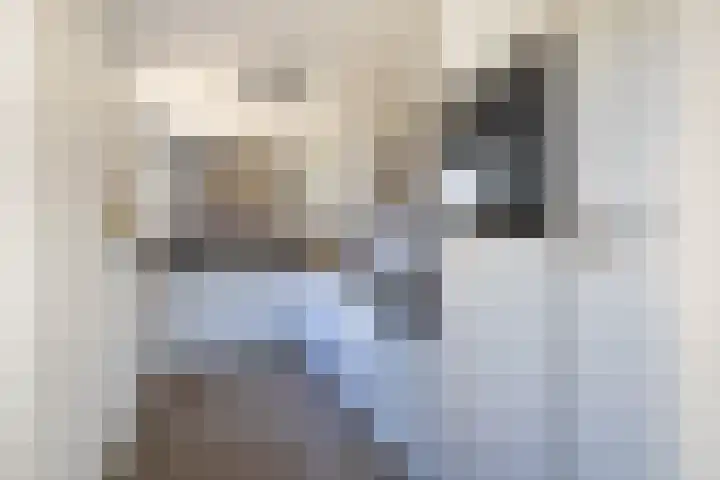 De Valk 24 Almelo thumbnail 12