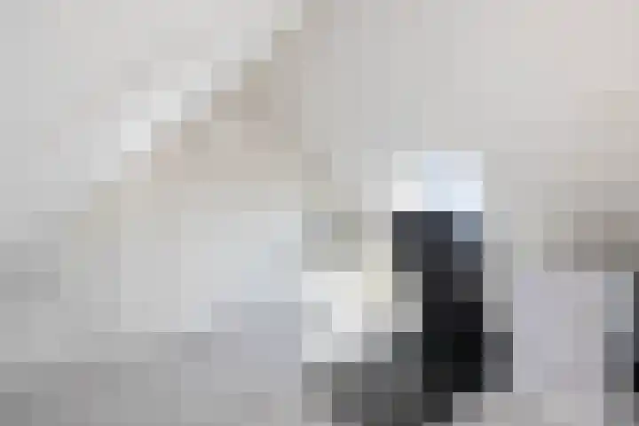 De Valk 24 Almelo thumbnail 21
