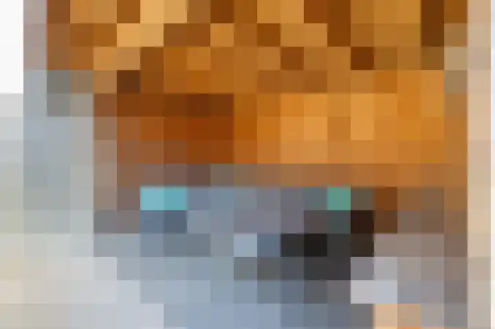 De Valk 24 Almelo thumbnail 22