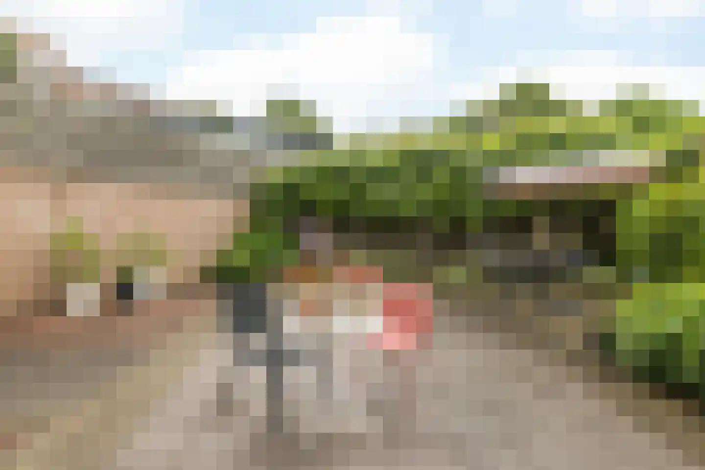 De Valk 26 Valkenburg thumbnail 29