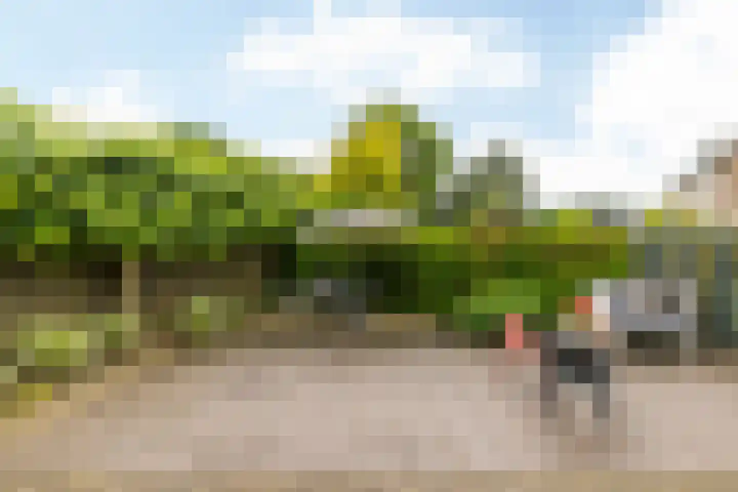 De Valk 26 Valkenburg thumbnail 31