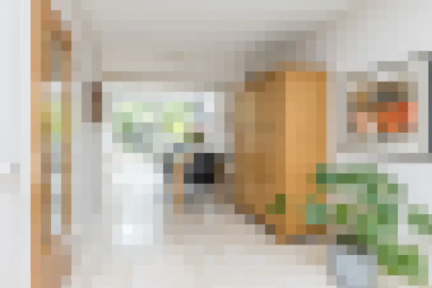 De Valk 26 Valkenburg thumbnail 9