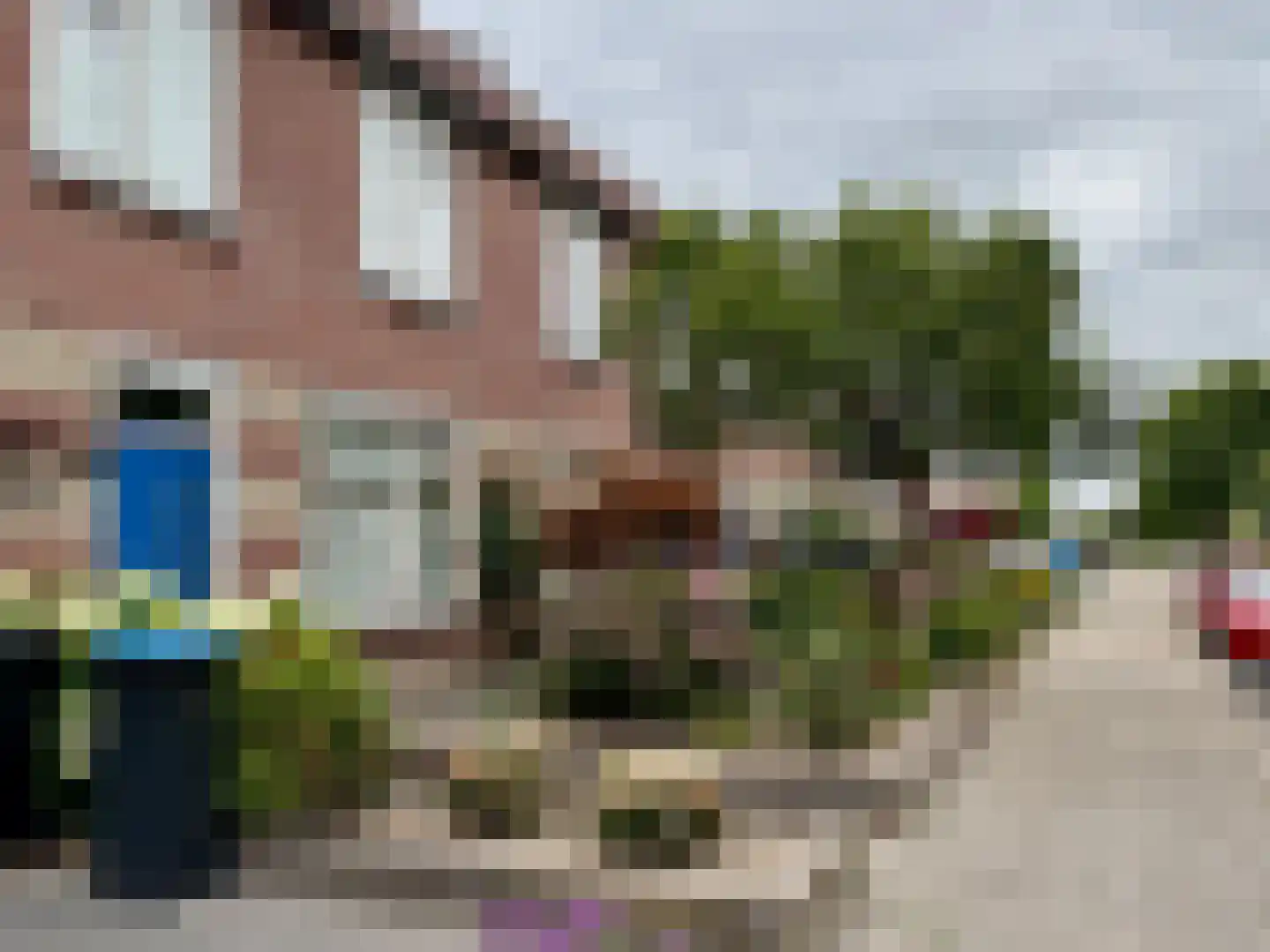 De Valk 36 Almelo thumbnail 27