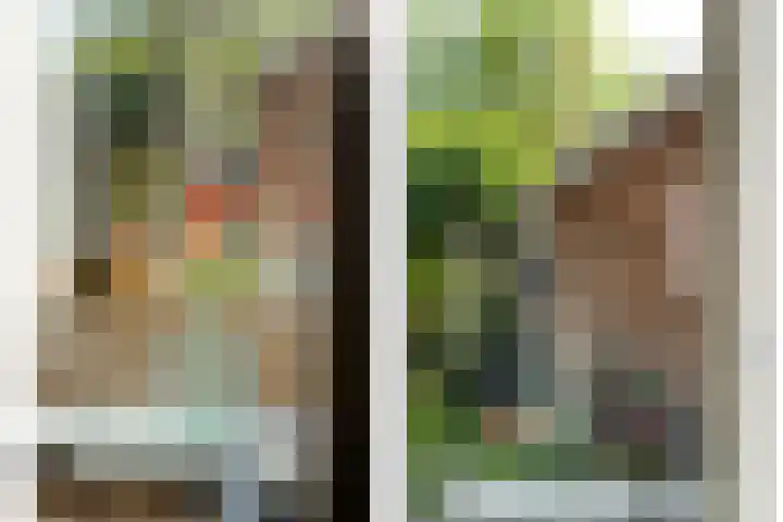 De Valk 5 Vriezenveen thumbnail 11