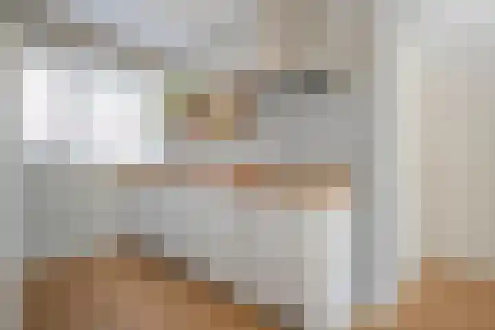 De Valk 5 Vriezenveen thumbnail 12
