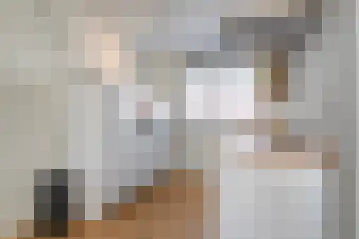 De Valk 5 Vriezenveen thumbnail 13