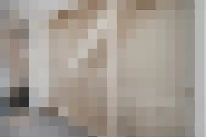 De Valk 5 Vriezenveen thumbnail 17