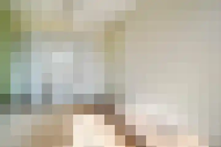 De Valk 5 Vriezenveen thumbnail 19