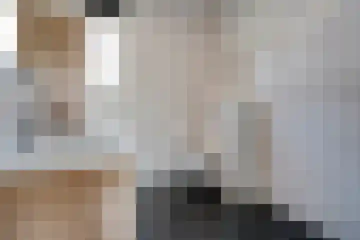 De Valk 5 Vriezenveen thumbnail 21